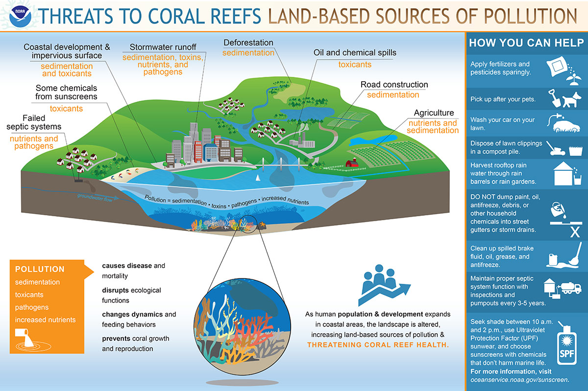 infographic showing threats to coral reefs pollution