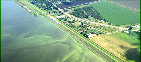 An aerial view of Lake Okeechobee in Florida shows an algal bloom.  