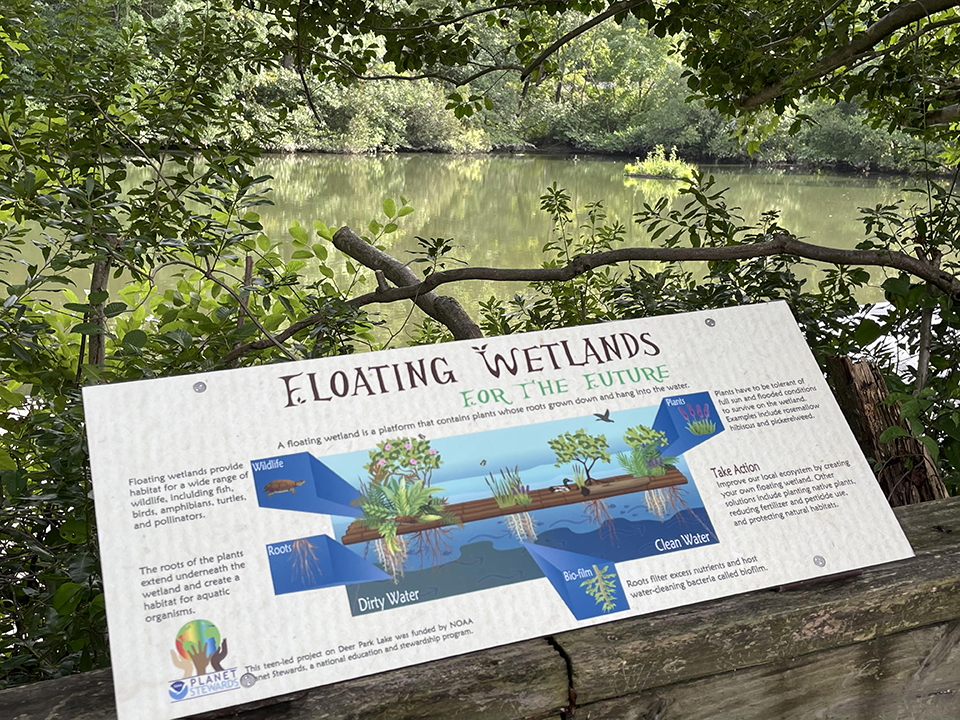 The permanent educational signage installed in front of the floating wetland. Photo credit: Deanna Orr