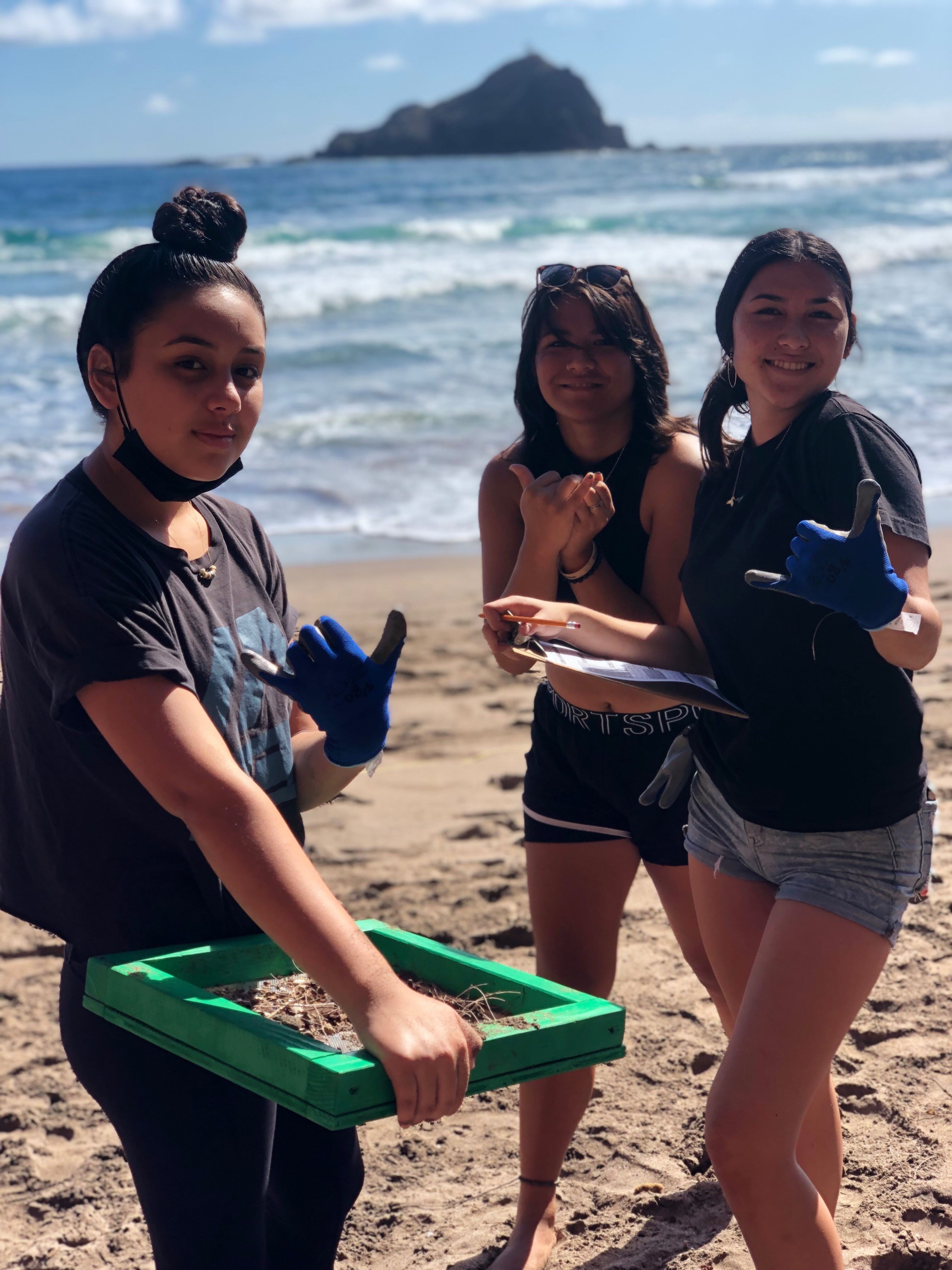 Students using a microplastic sifter to sift marine debris (2.5 cm and under) from the sand and recording data on Koki Beach.