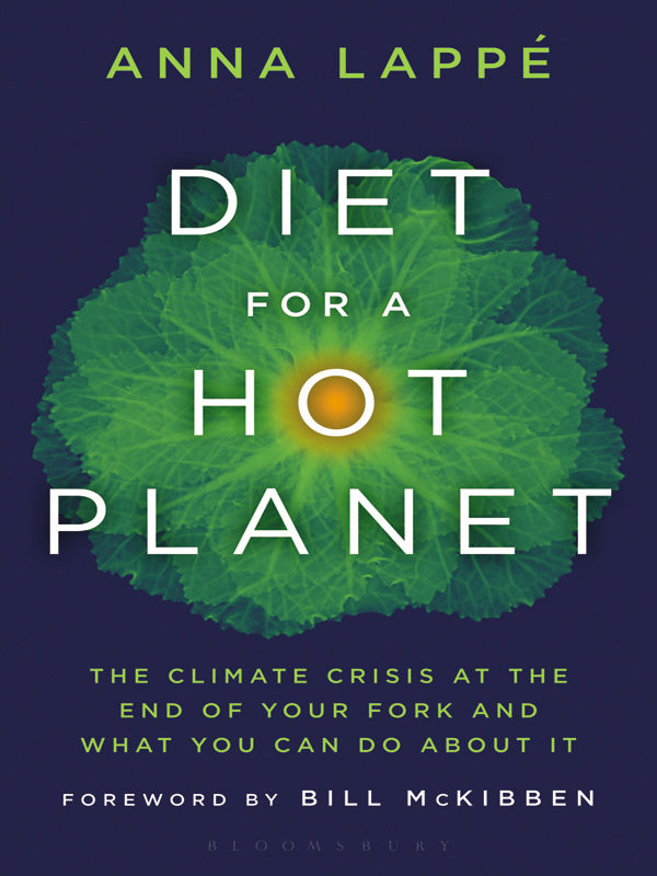 Diet for a Hot Planet cover