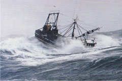 Fishing vessel in high seas