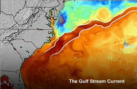 The Gulf Stream is a powerful western boundary current in the North Atlantic.
