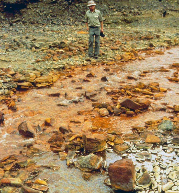 In this image, iron contamination is apparent in the Idaho Blackbird Creek, Lemhi County, Idaho