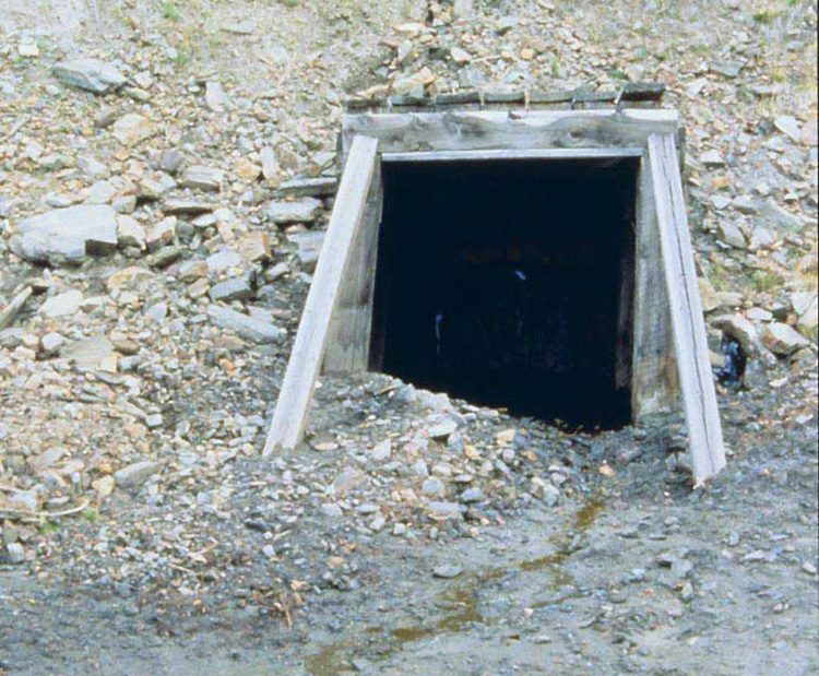 adit or mine opening, at Blackbird Mine, Lemhi County, Idaho