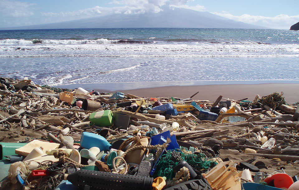 ​A classic example of a catcher beach along the shores of Hawaii.</p>
</p>
<p>” />                  </p>
<p>Not to be confused with a dumping ground or heavily trashed public beach, a catcher beach typically receives its accumulations of debris due to its shape and location in combination with high-energy waves, storms, or winds. Awareness and common knowledge of these types of areas vary significantly by state, although many states have a good understanding of where catcher beaches are located. In many cases, catcher beaches are found in remote areas that are difficult to access and can be challenging in terms of debris cleanup and removal.</p>
<p><a href=