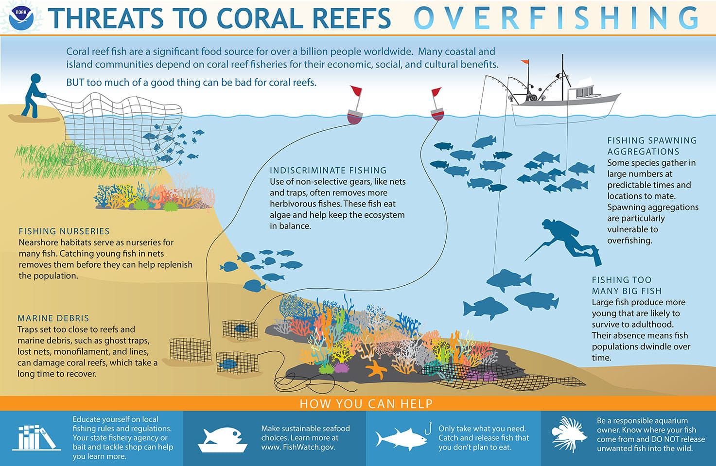 Environmental issues with coral reefs
