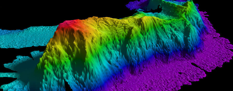 A sonar image of a guyot