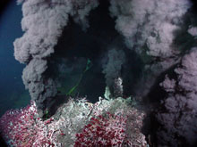 Hydrothermal vent#Black smokers and white smokers #