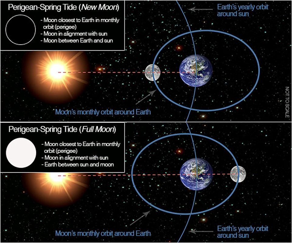graphic showing new and full moon at perigee