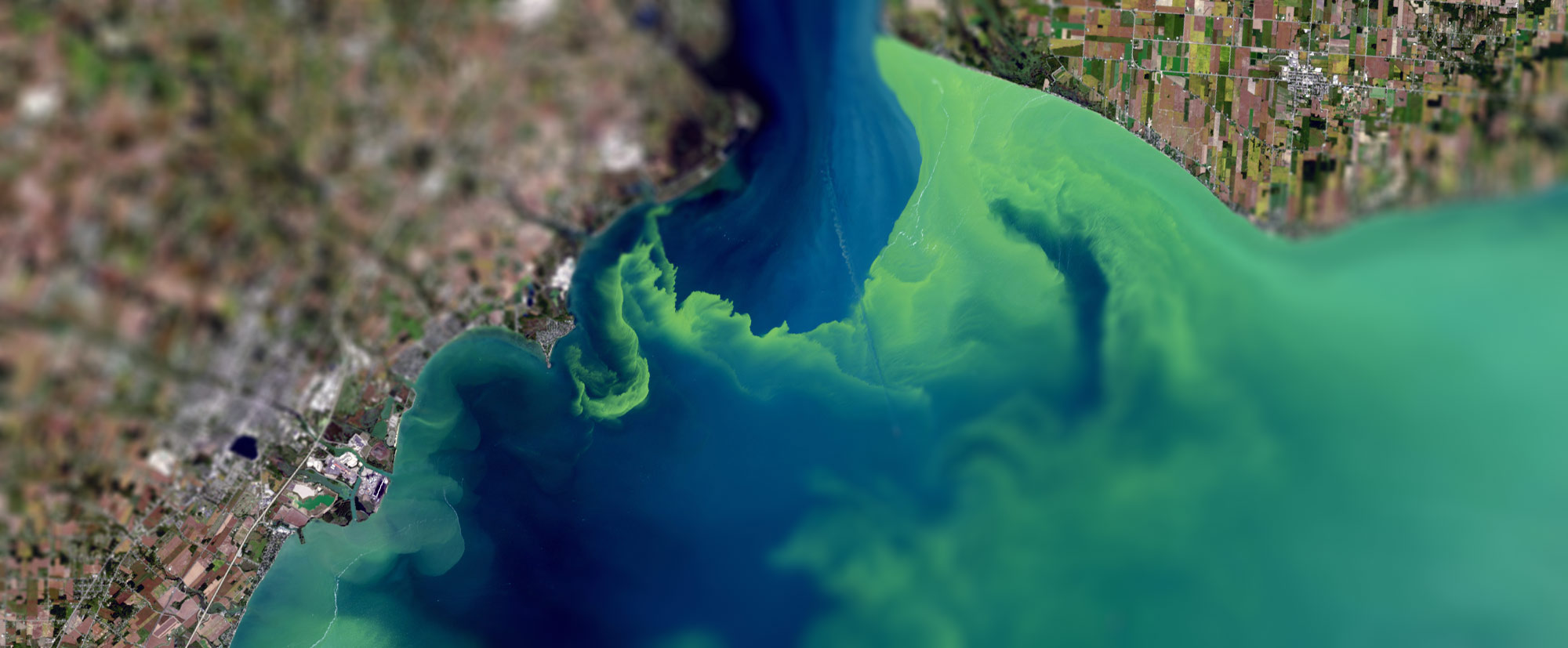 an image of 2017 harmful algal bloom in Lake Erie 