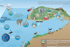 Infographic showing aquaculture tools and techniques.