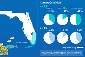 thumbnail of coral report infographic