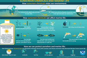 infographic thumbnail: Sunscreen Chemicals and Marine Life