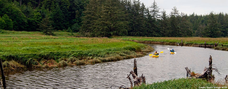 Kayakers enjoy an outing near Dalton Marsh in Oregon's South Slough National Estuarine Research Reserve. 