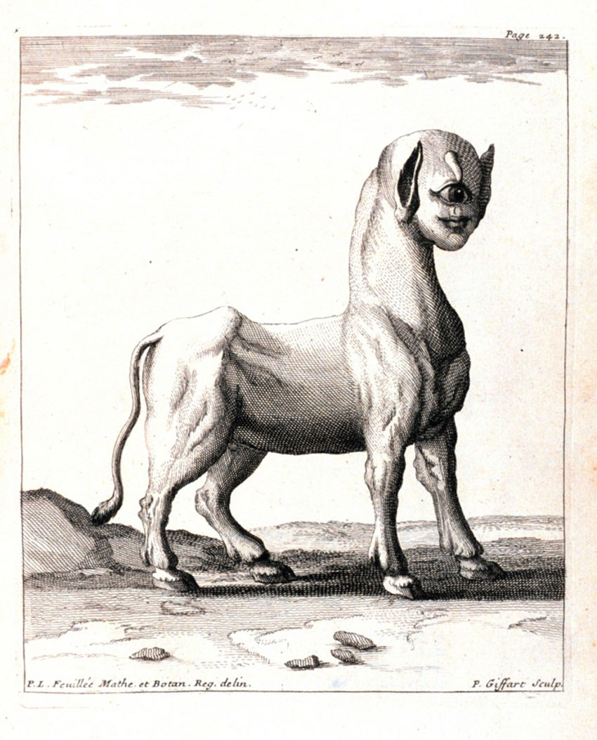 A Monster Born of a Ewe in Journal des Observations Physiques, Mathematiques et Botaniques by Louis Feuillee, 1714