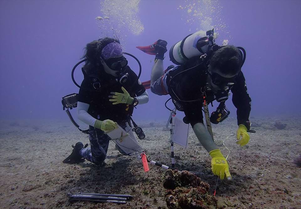 Divers can discuss coral taxonomy underwater by writing on slates and using a special paper that doesn't tear when it is wet. (Credit: NOAA Fisheries)