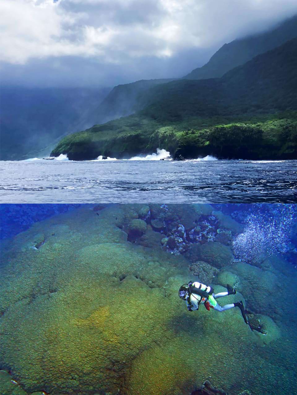 Taʻū (top) is the easternmost volcanic island of the Samoan Islands. It is home to some of the world's largest corals (bottom). (Credit: Ray Boland/NOAA Fisheries)