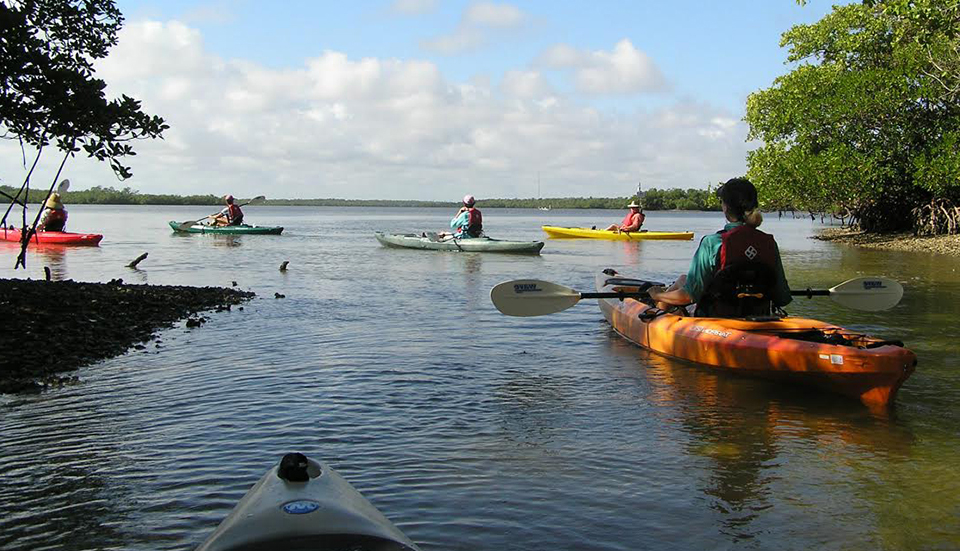 kayaking along the saltwater paddling trail