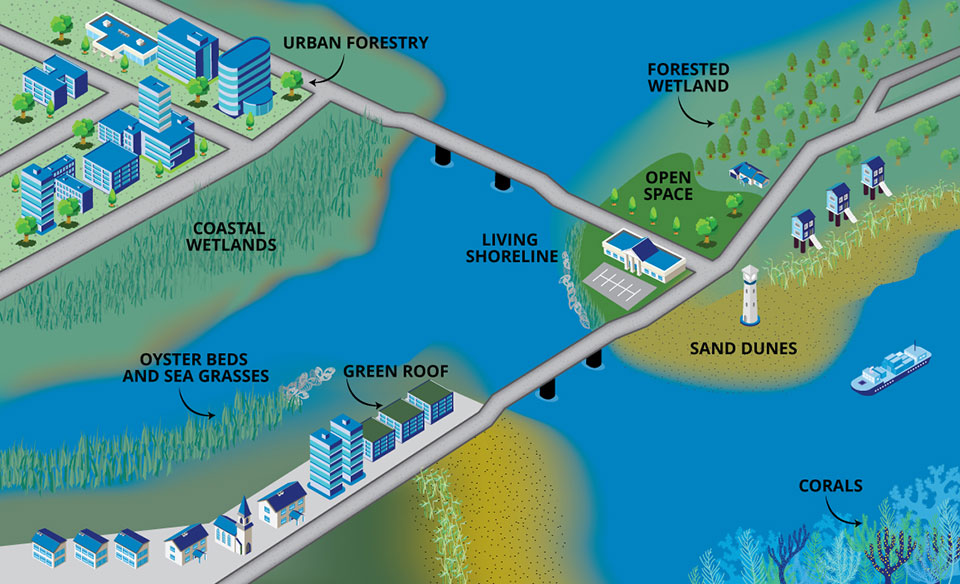 green infrastructure examples shown in infographic