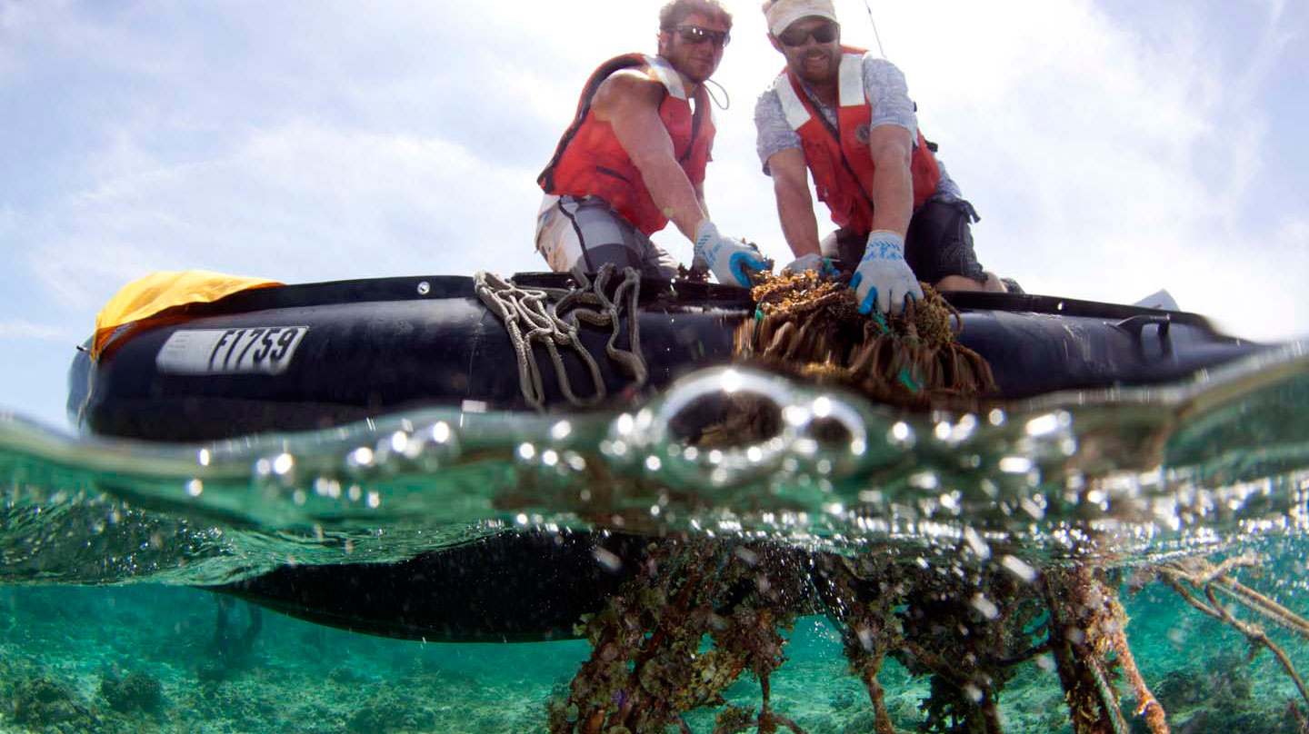 A team of 17 NOAA divers helped remove 7,436 hard plastic fragments, 3,758 bottle caps, 1,469 plastic beverage bottles and 477 lighters