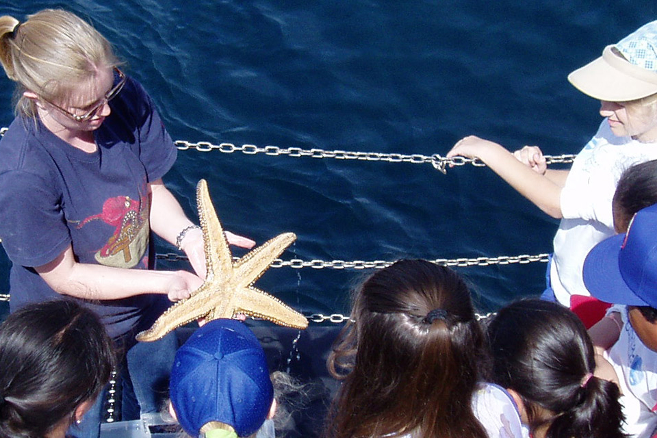 educator showing a starfish to students