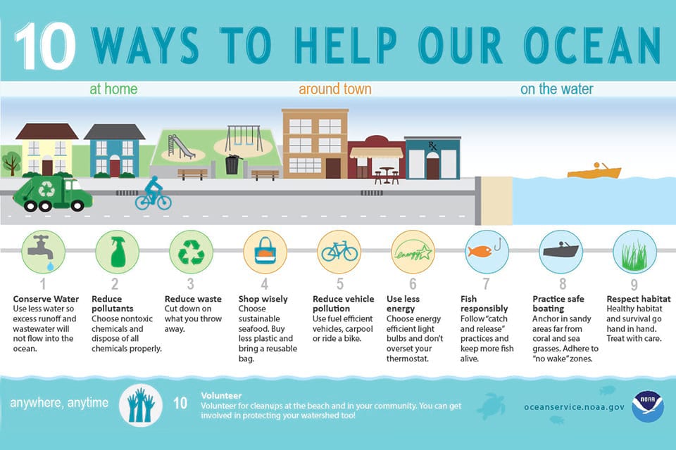 an infographic on ways to help our ocean