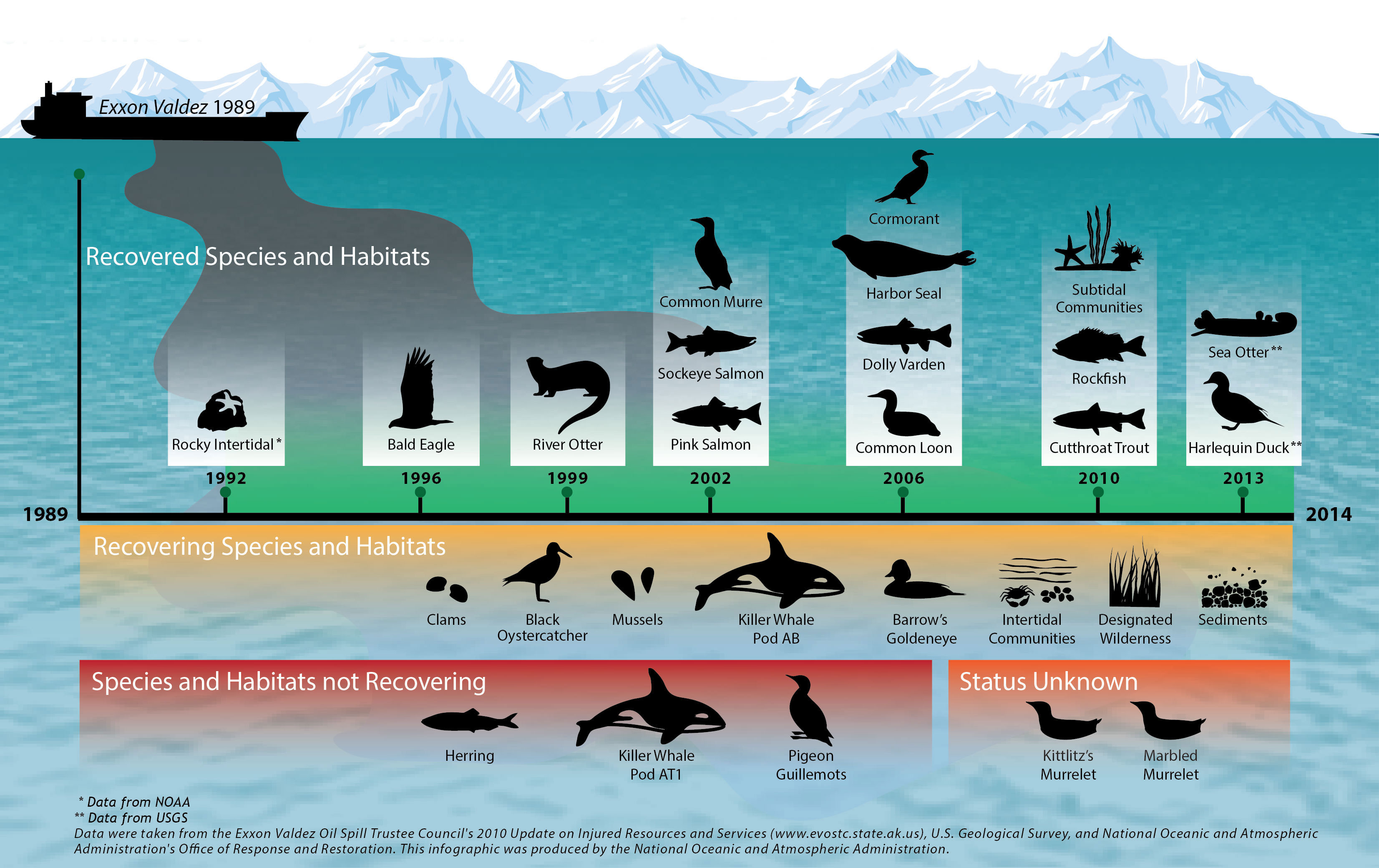 Timeline of environmental recovery from Exxon Valdez oil spill