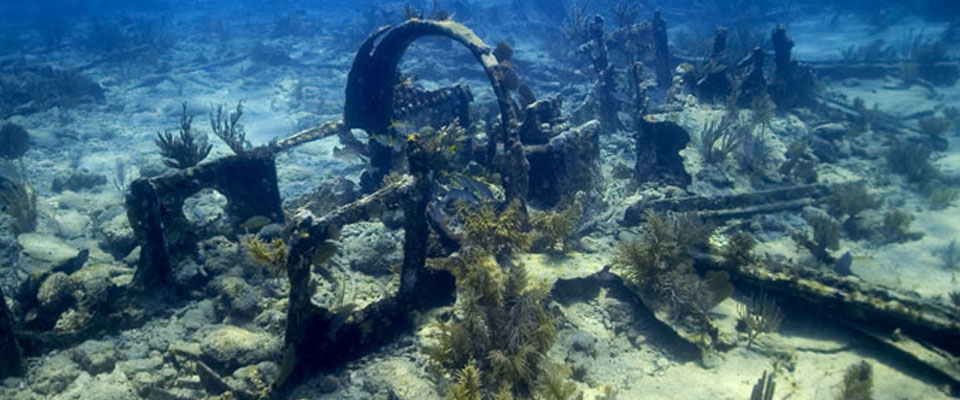 underwater wreckage of airplane from WWII
