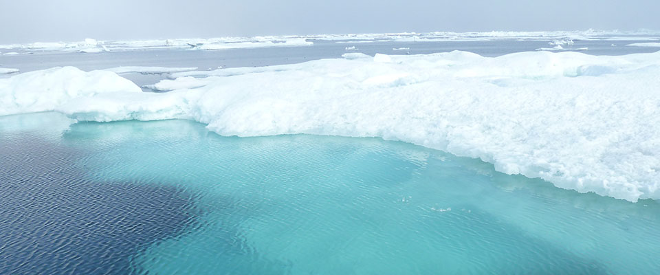 sea ice in Arctic waters