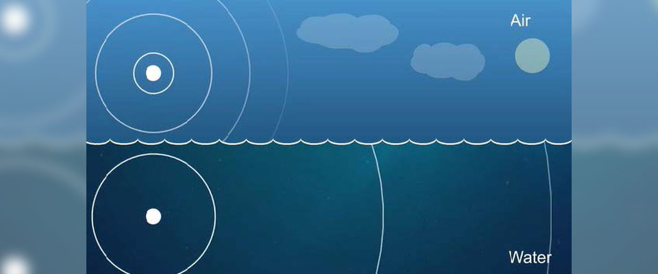 graphic showing how sound moves in water and air
