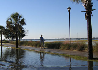 A bicyclist navigates flooded path in Charleston's Battery.