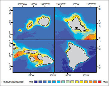 Modeled long-term relative abundance of Humpback whale around Main Hawaiian Islands in winter.  Credit: NOAA and University of Hawaii at Manoa