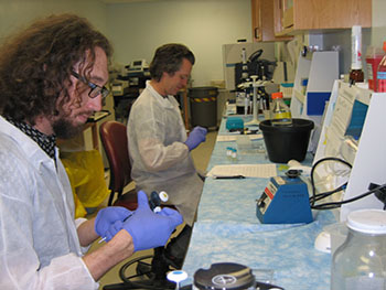  Scientists at the Sitka Tribe of Alaska Environmental Regulatory Laboratory use NCCOS-developed assay to detect paralytic shellfish toxins