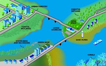 Infographic showing application and benefits of green infrastructure
