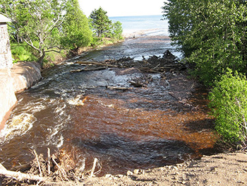 Heavy precipitation event caused riverine flooding, and erosion and runoff into Lake Superior in 2008