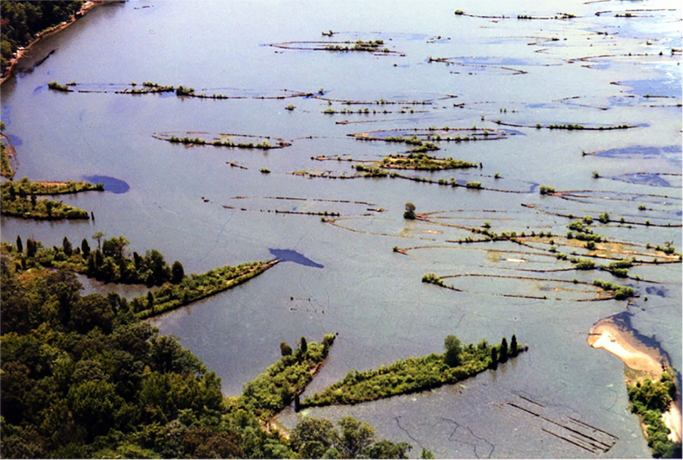 Aerial view of Mallows Bay with outline of boats visible.