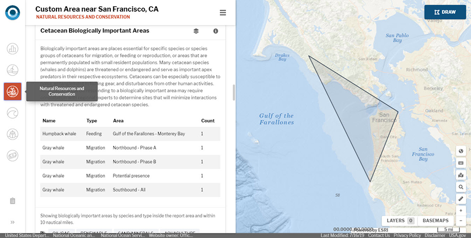 Screenshot from the OceanReports tool.