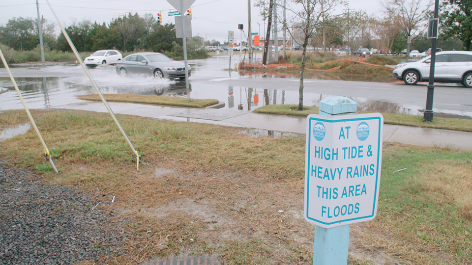  A signed that reads 'AT HIGH TIDE & HEAVY RAINS THIS AREA FLOODS' with a wet road and cars in the background.