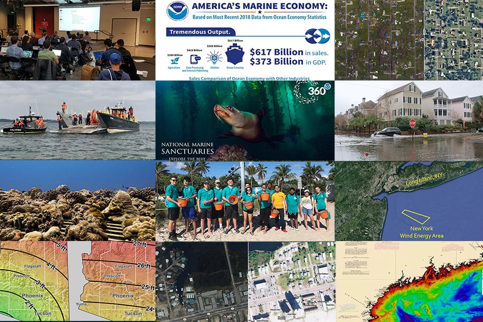 collage of annual report images