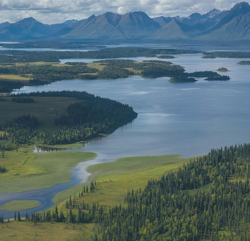 Aerial view of trees, water, and mountains in Bristol Bay, Alaska.