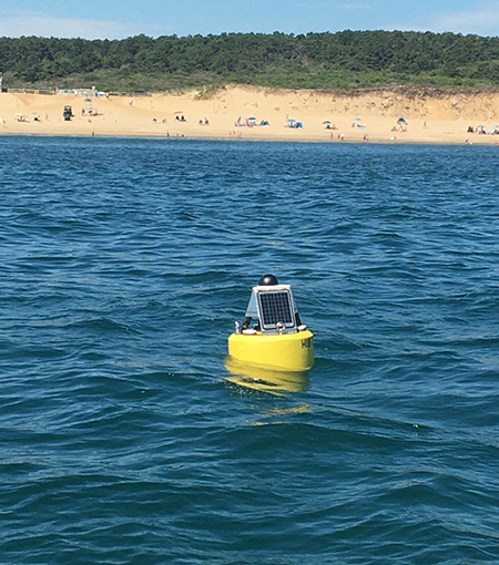 A yellow tag detection buoy floats on the waters of Hollow Beach in Massachusetts with beach and trees in the background. 