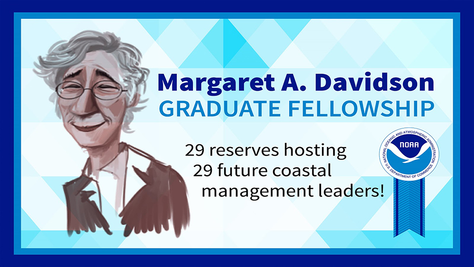  Vector image of Margaret A. Davidson promoting the fellowship that bears her name.