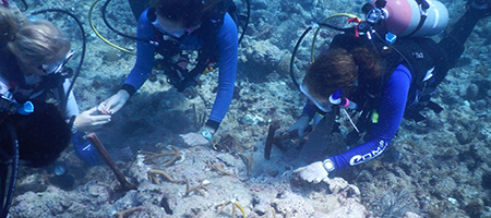 Divers doing scientific work on a coral reef