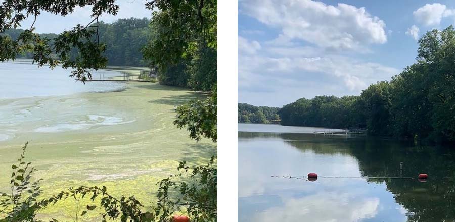 Two images. The left shows a harmful algal bloom on the water, the right shows the same stretch of water clean after nanobubble ozone treatment.