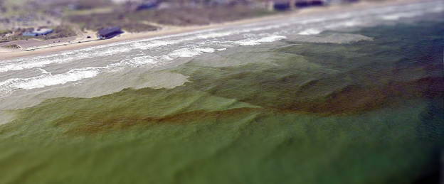 Aerial view of a harmful algal bloom.
