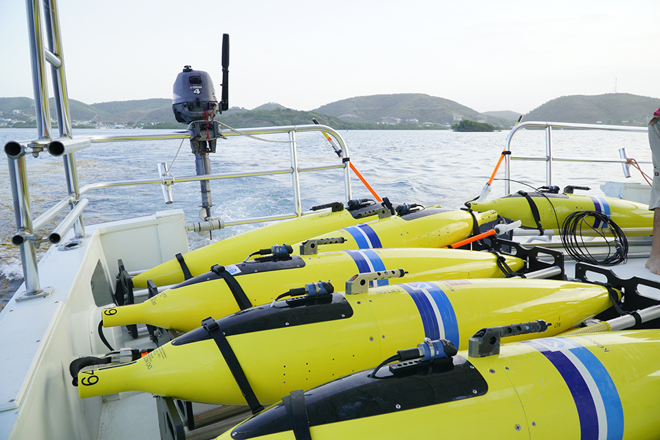 Yellow gliders lined up on a boat, ready to launch into the Caribbean Sea.