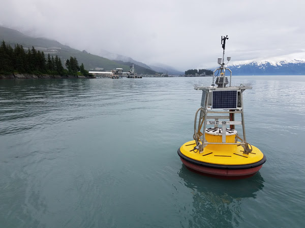 Yellow buoy on the water with snowcapped mountains in the background.