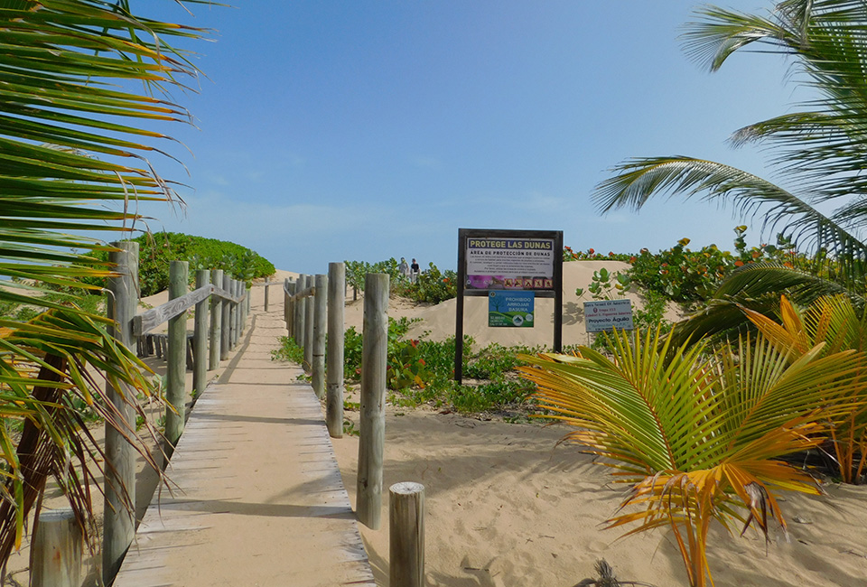 A boardwalk over sand dunes.