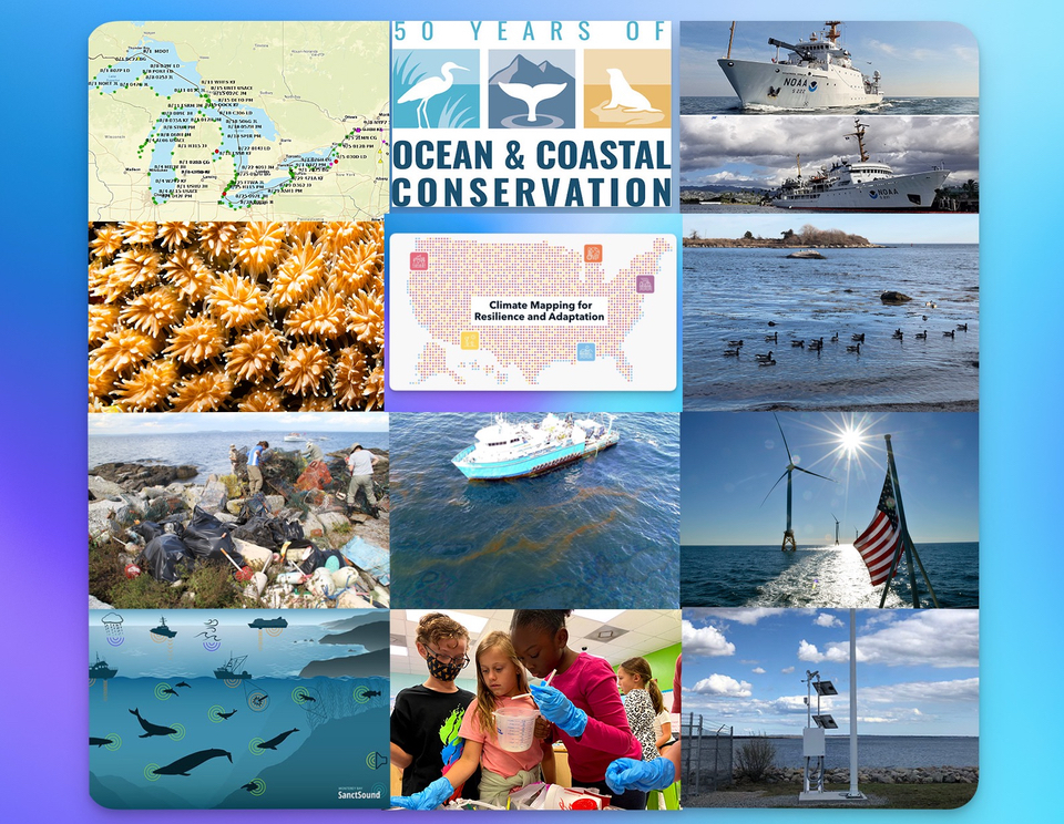 a collage of images from the annual report